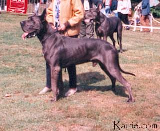 Ch Le Monarque Des Terres De La Rairie