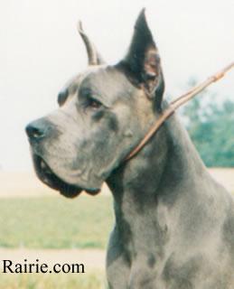 Ch Granit Des Terres  De La Rairie