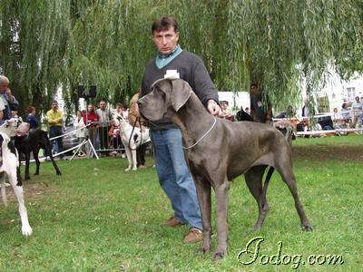 Ch Rassfarenta De Montbreuil