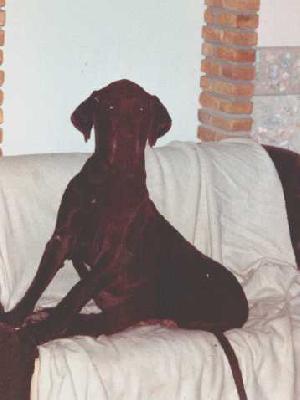 Katherine Black Rosherta Van Athala