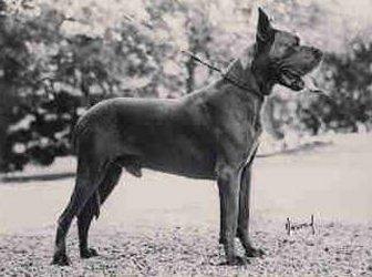 I Am Able V.t Buitengebeuren