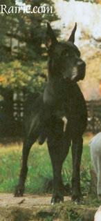 Mahabharata Von Der Burg Diana