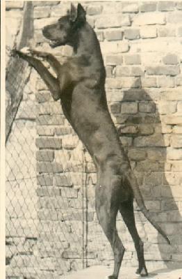 Fione Von Riedstern