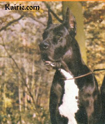 Ch Chandor Von  Buzzards Bay