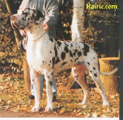 Charly Von Caradhras