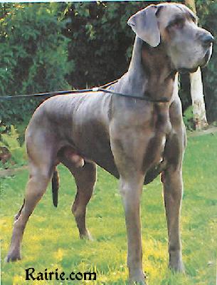 Comte Mozes Von Der Methen