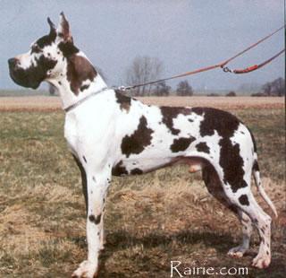 Baranoff Von Hause Tiefenbach