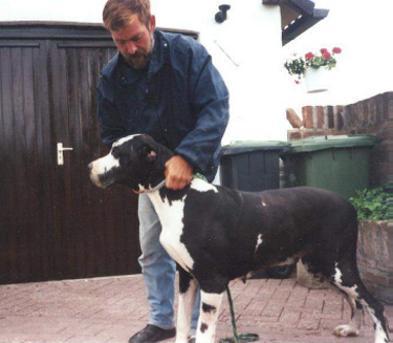 Bytonne V.�t Oenselerheem