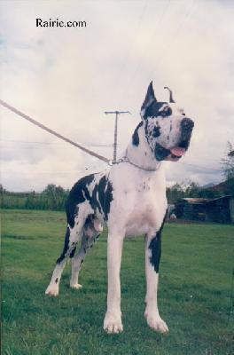 Archy De La Templerie