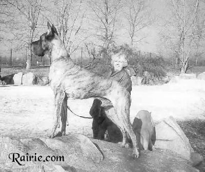 Yaro Della Collinetta