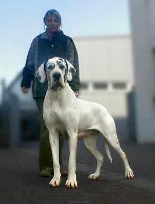 Xanderine Het Waasse Hof