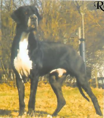 Viktor V.�t Oenselerheem