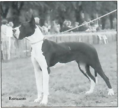 Gala De La Grande Vigie