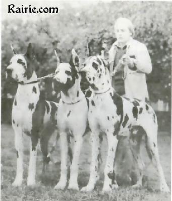 Elongo Von Der Burg Diana