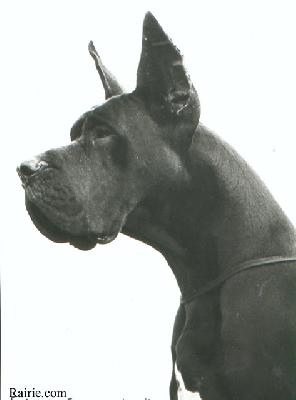 Ch Ferro Indios Dell� Armida