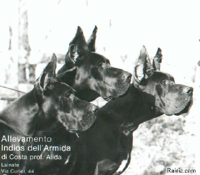 Ch Ferro Indios Dell� Armida