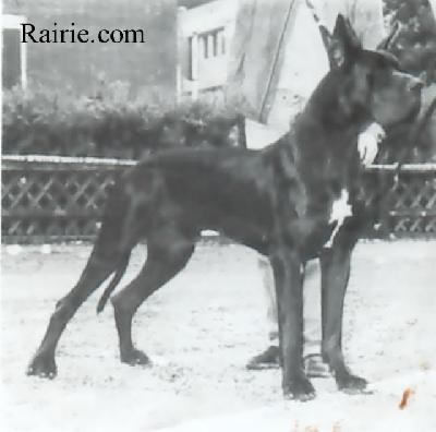 Ch Ferro Indios Dell� Armida