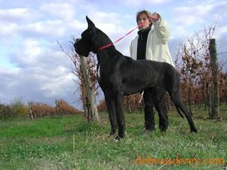 Poonkie Dit Pretty Des Terres De La Rairie