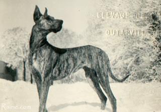 Electra Von Hoch Eberstein