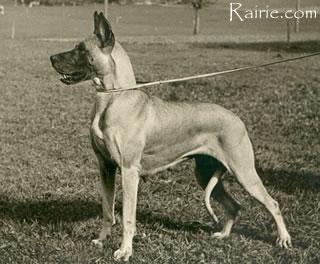 Ch Andra Von Aarburgund