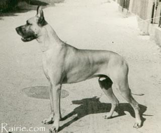 Lard Von Schloss Aspen