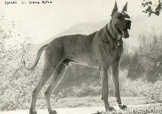 Harro Von Schloss Aspen