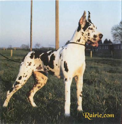 Wonderful Vom Haus Fresena