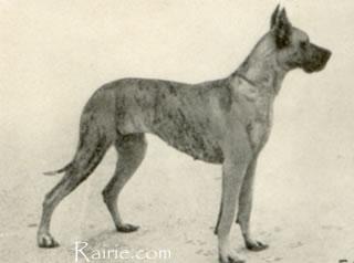 Heidy Von Schloss Aspen