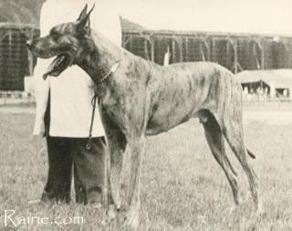 Iras Von Der Rheinfront