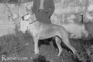 Yvette Von Hoch Eberstein