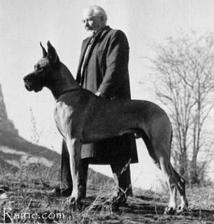 Hawk Von Hoch Eberstein