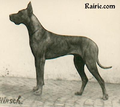 Dolf Von Schloss Dellwig