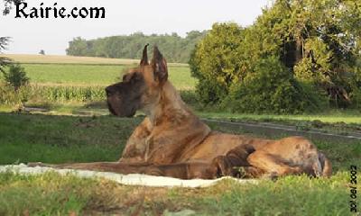 Ch Oreade Des Terres De La Rairie