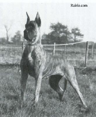 Cyra Yarina De Lathuy