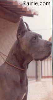 Number One Des Terres De La Rairie