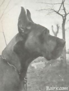 Ch Hessen Prinz Von Der Bitz