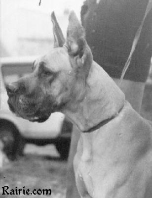 Lessy De La Templerie