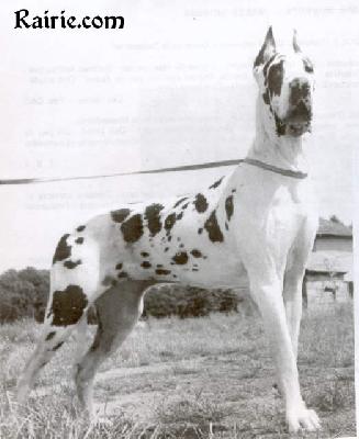 Tessie De Mourre Frais