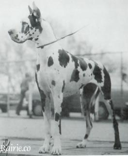 Cosima Von Burg Diana