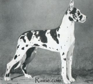 Banja Von Alten Peter