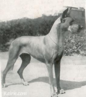 Draga Von Greiffenhorst