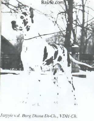 Jarpyie Von Der Burg Diana