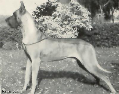 Bodo Von Der Friedenseiche