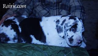 Stein Du Domaine De Valdemar