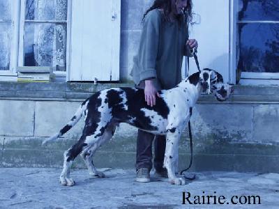 Stein Du Domaine De Valdemar