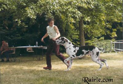 Stein Du Domaine De Valdemar