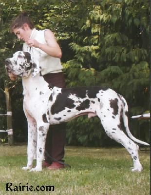 Stein Du Domaine De Valdemar