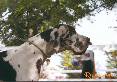 Stein Du Domaine De Valdemar