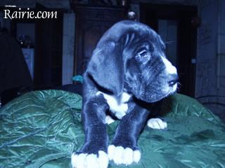 Stone Du Domaine De Valdemar