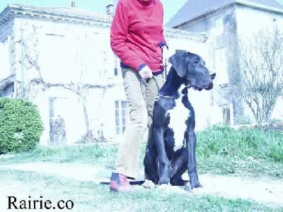 Stone Du Domaine De Valdemar